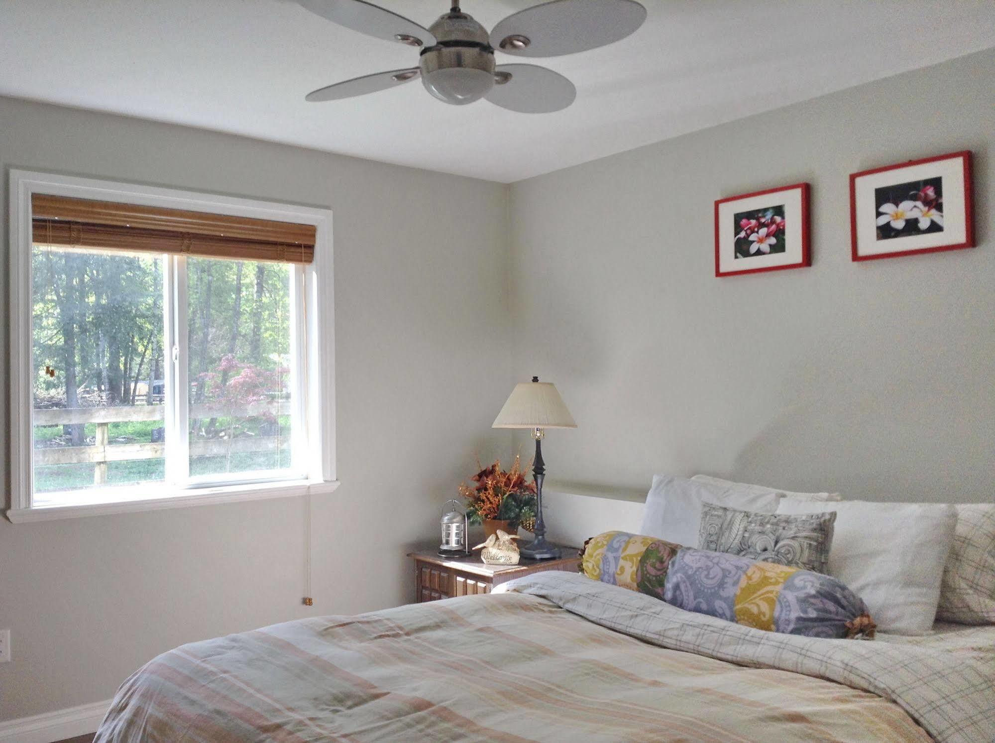 Hope Springs Eternal Bed&Breakfast Exterior foto